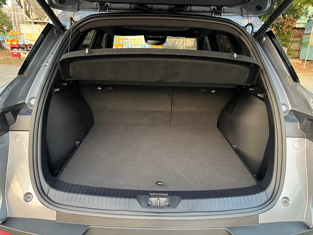 BYD SONGJIANG NEW ENERGY