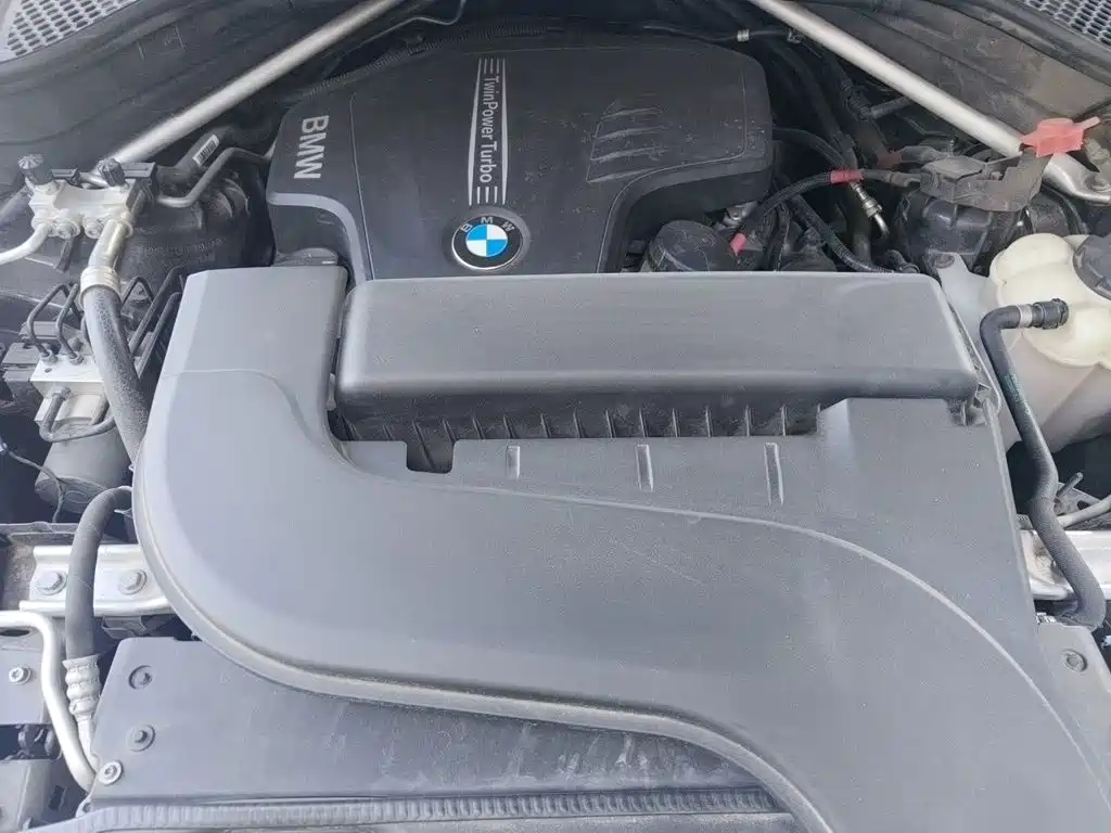BMW X5 (Import) — миниатюра 21