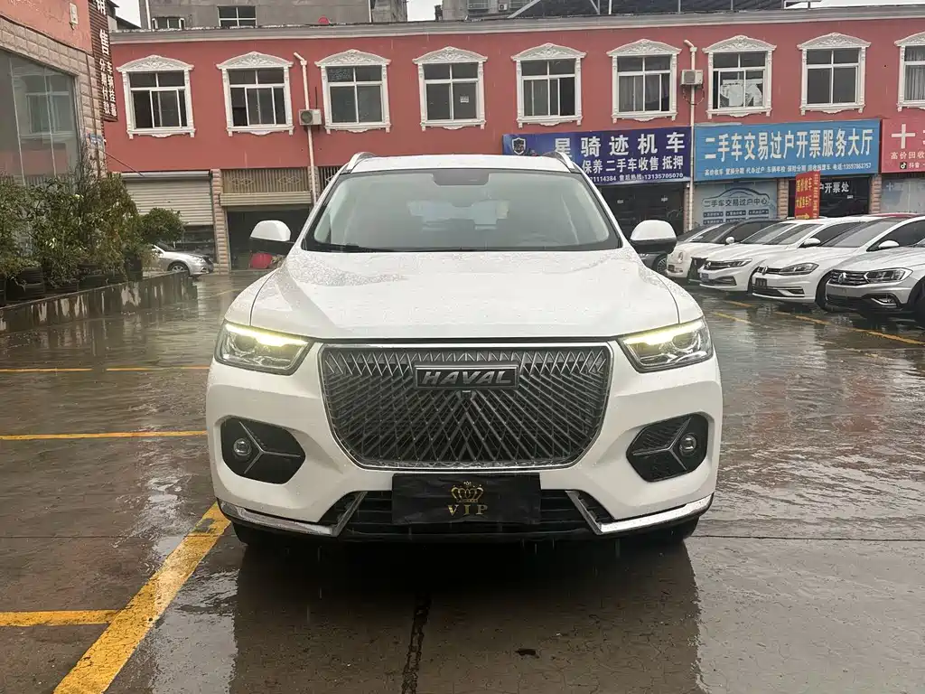 Haval H6 — миниатюра 2