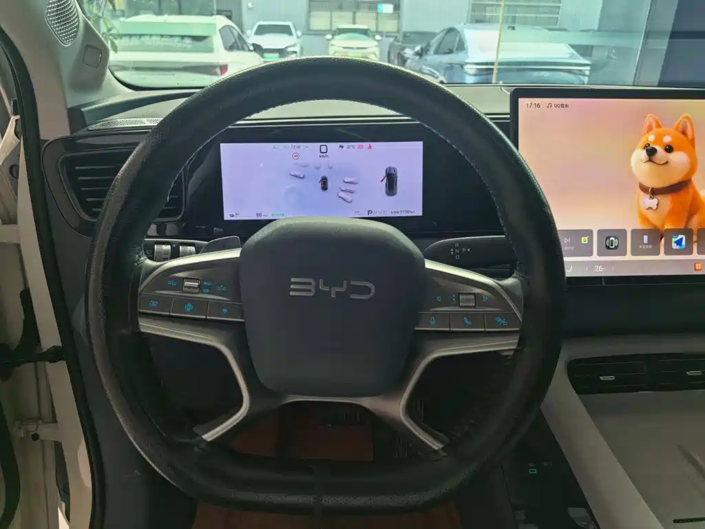 BYD Haisi 06 — миниатюра 9
