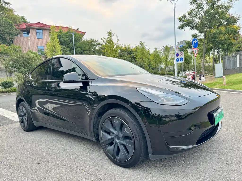 Tesla Model Y — миниатюра 4