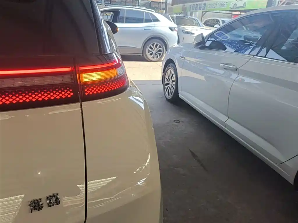 BYD Seagull 2024 305km
