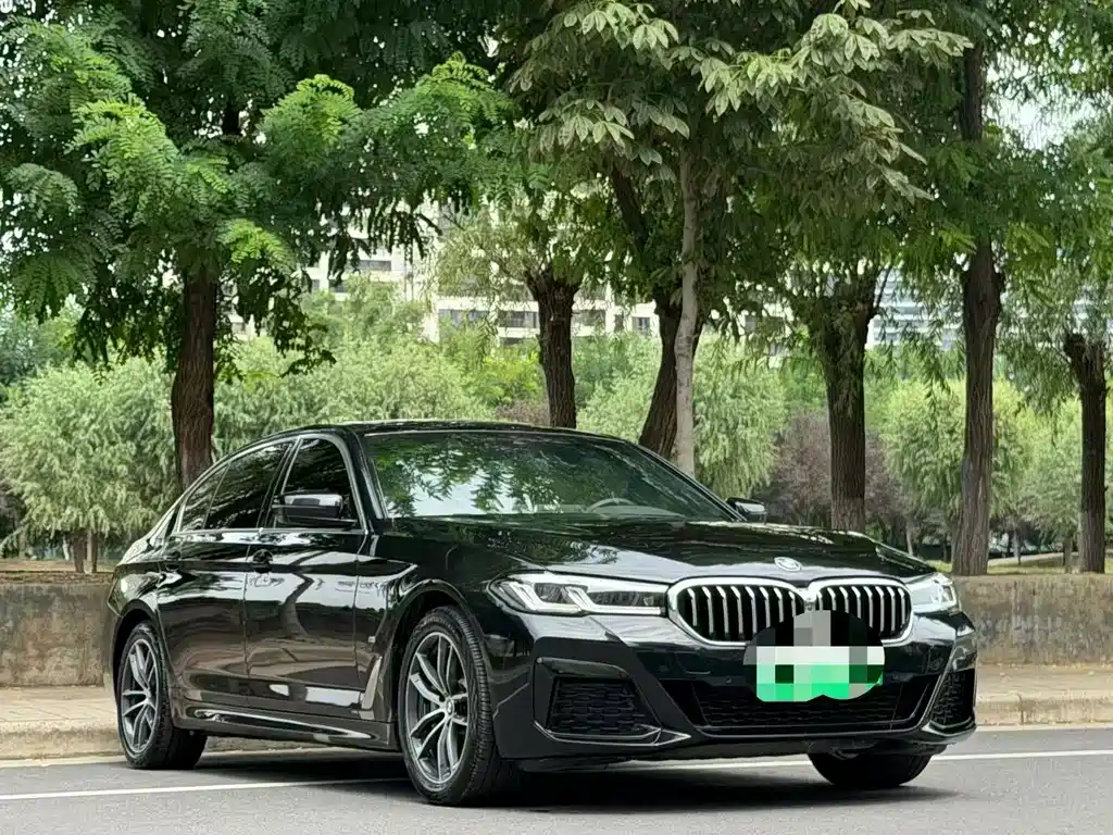 BMW 5 Series New Energy — миниатюра 3