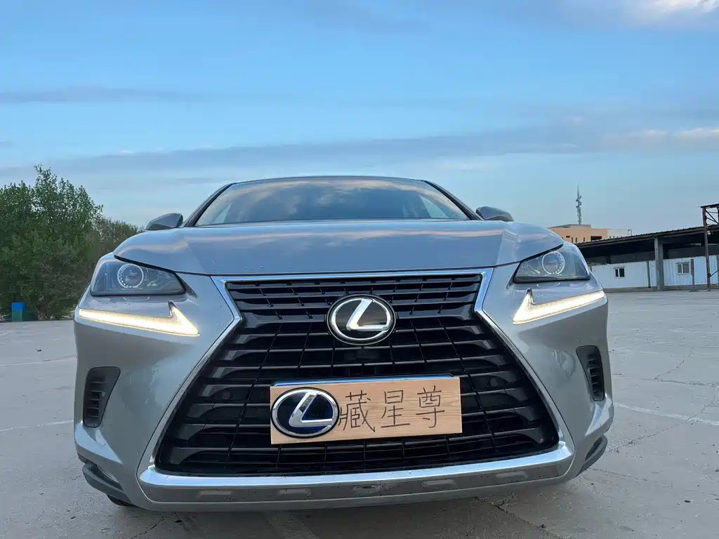 Lexus NX — миниатюра 2