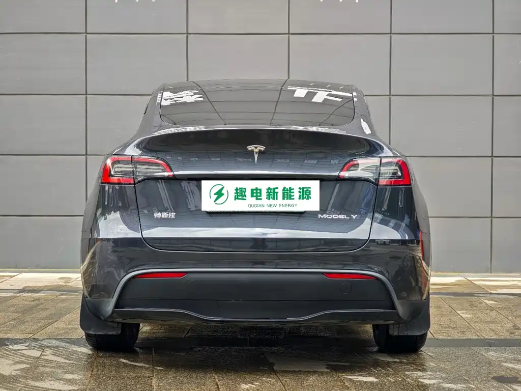 Tesla Model Y — миниатюра 5