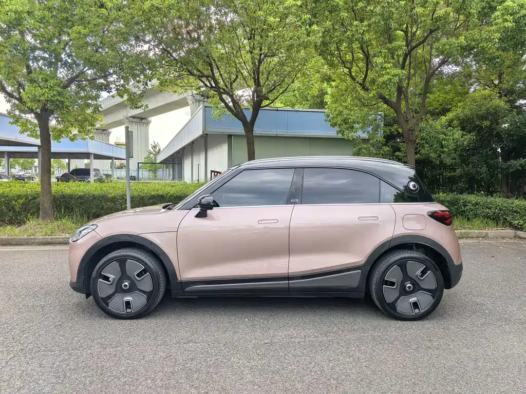 smart Smart #1 — миниатюра 4