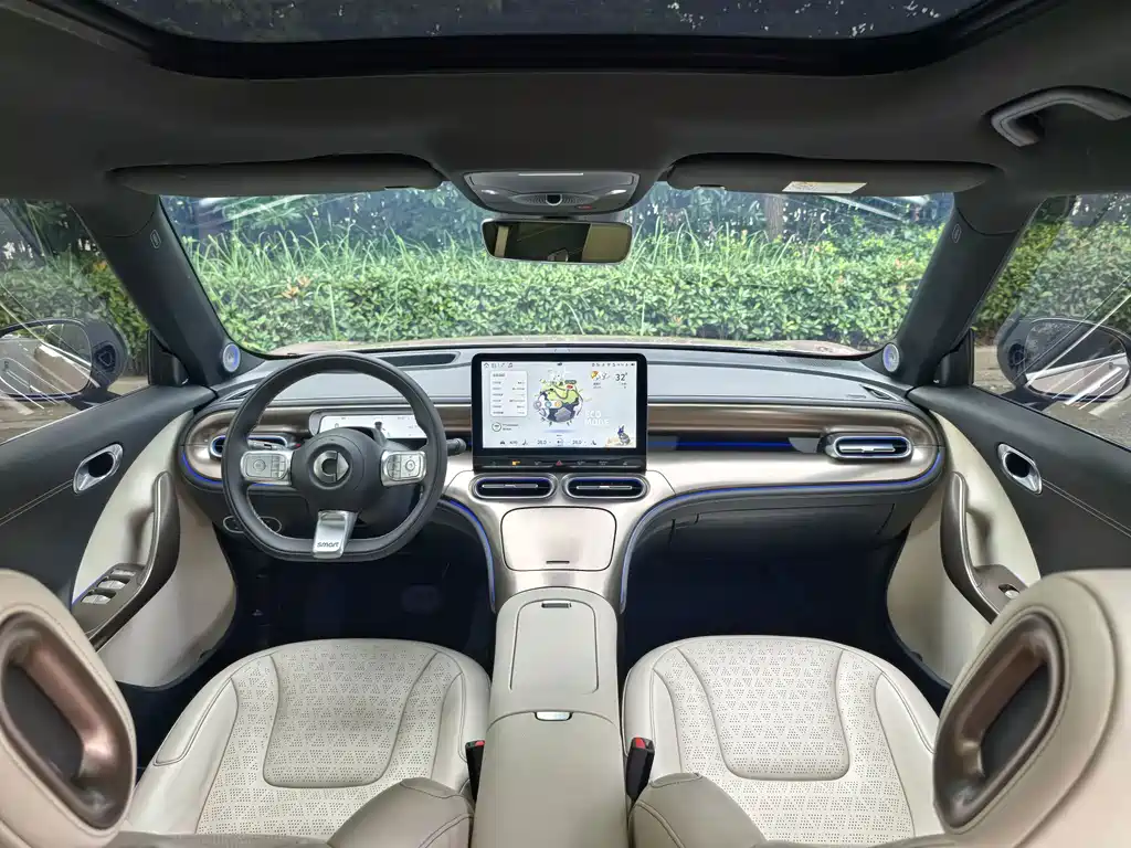 smart Smart #1 — миниатюра 10