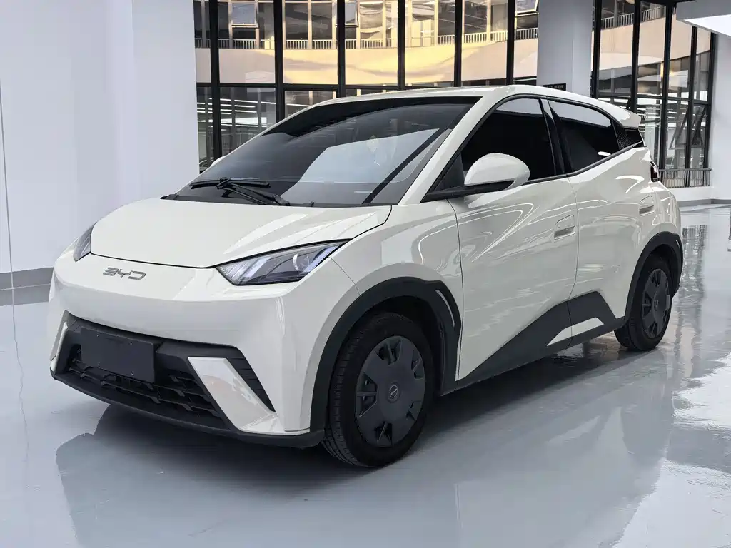 2024 BYD Seagull - zdjęcie 1 z 9