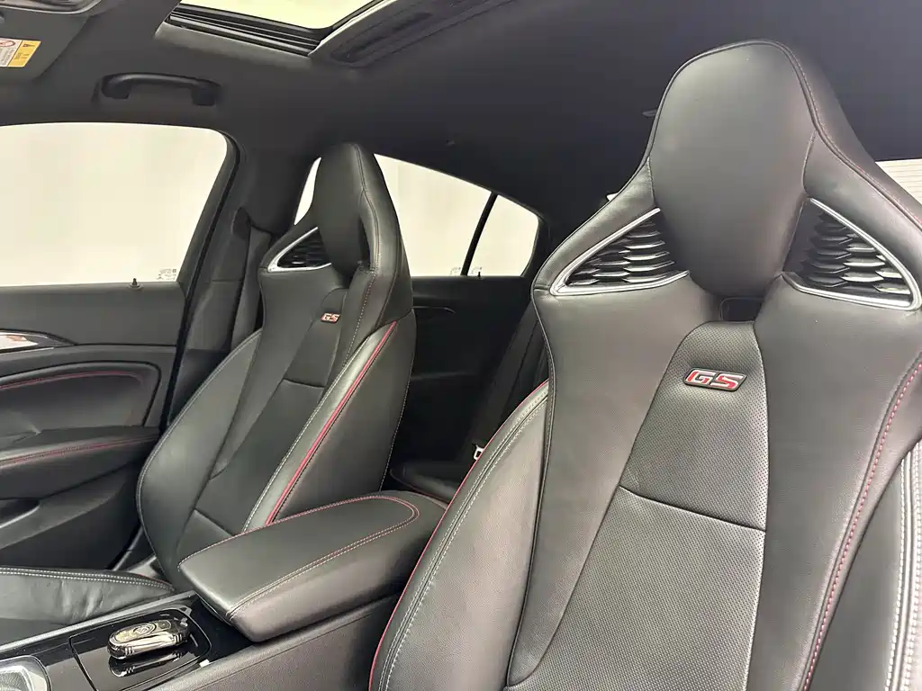 Buick Regal — миниатюра 18