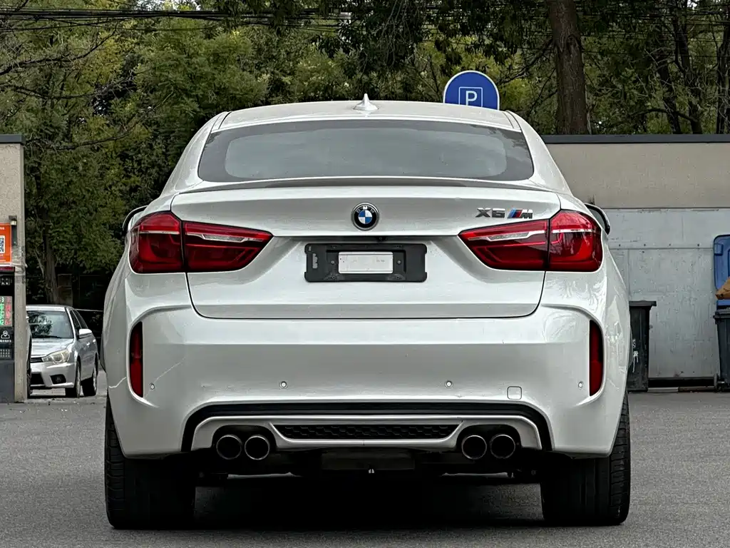 BMW X6 M X6 M, фото 3