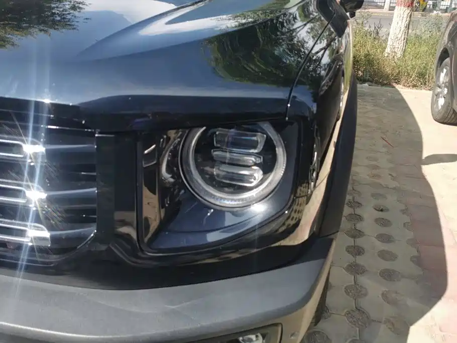 Haval Big Dog — миниатюра 5