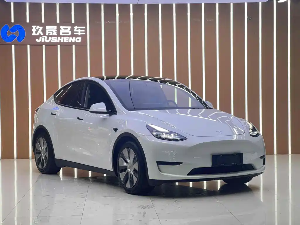 Tesla Model Y — миниатюра 3