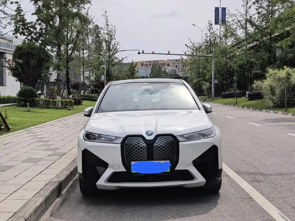 BMW iX — миниатюра 2