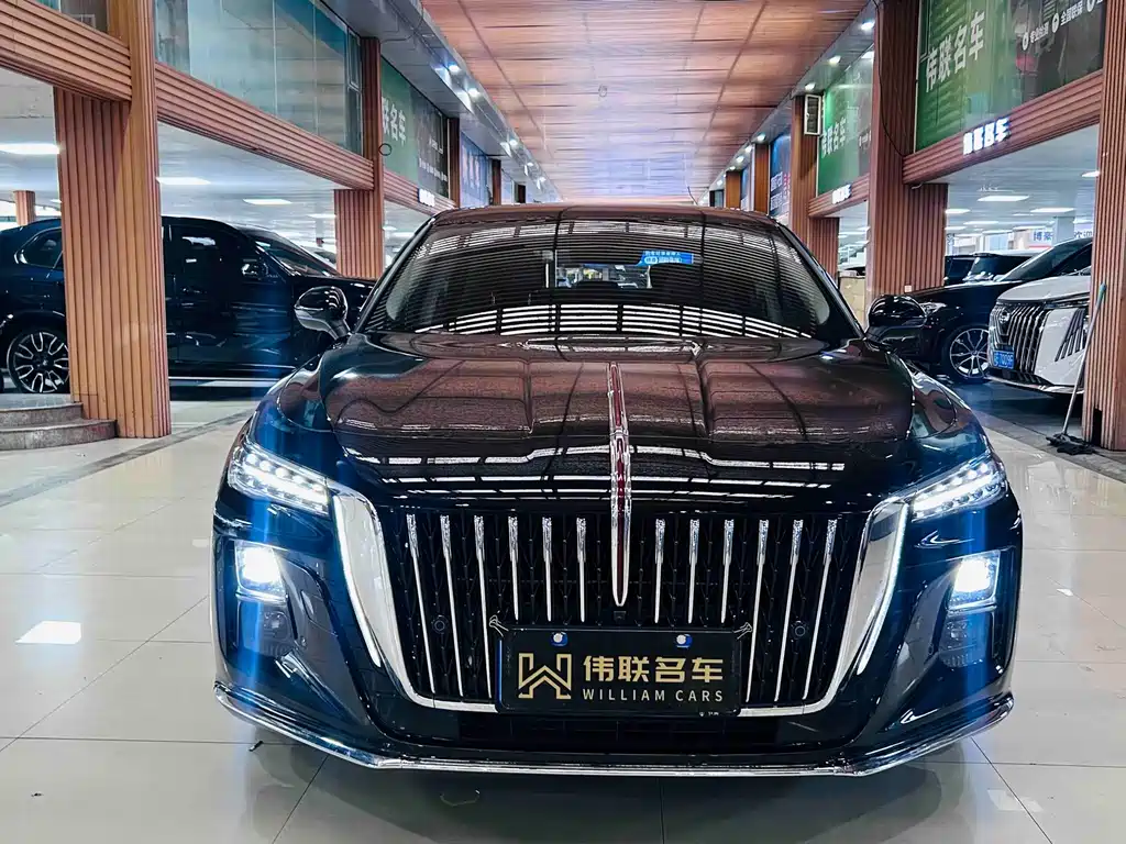 Hongqi Hongqi H5 — миниатюра 2