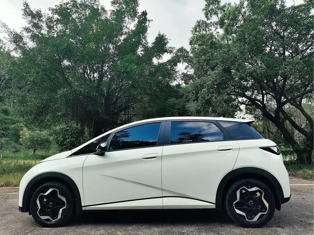 BYD Dolphin — миниатюра 4
