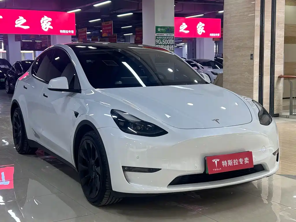 Tesla Model Y — миниатюра 3