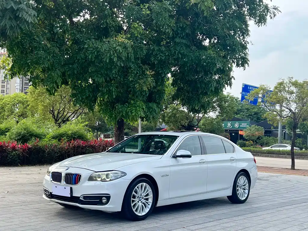 BMW 5 Series 5 2014 525Li Luxury