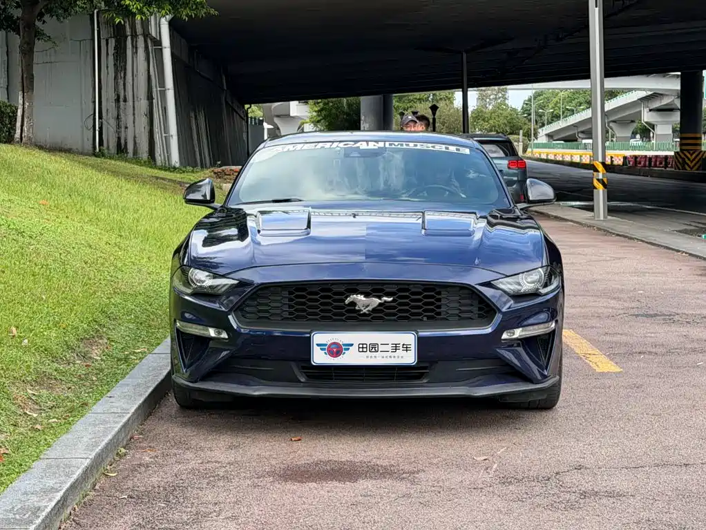 Ford Mustang — миниатюра 2
