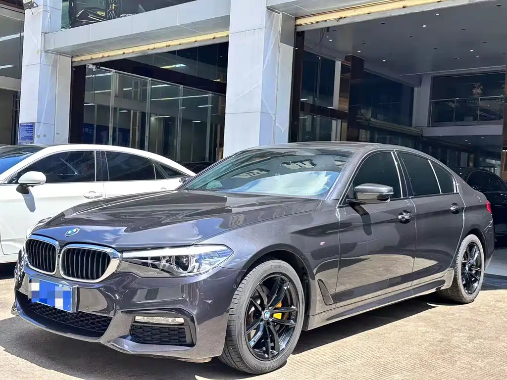BMW 5 Series (Import) 2018