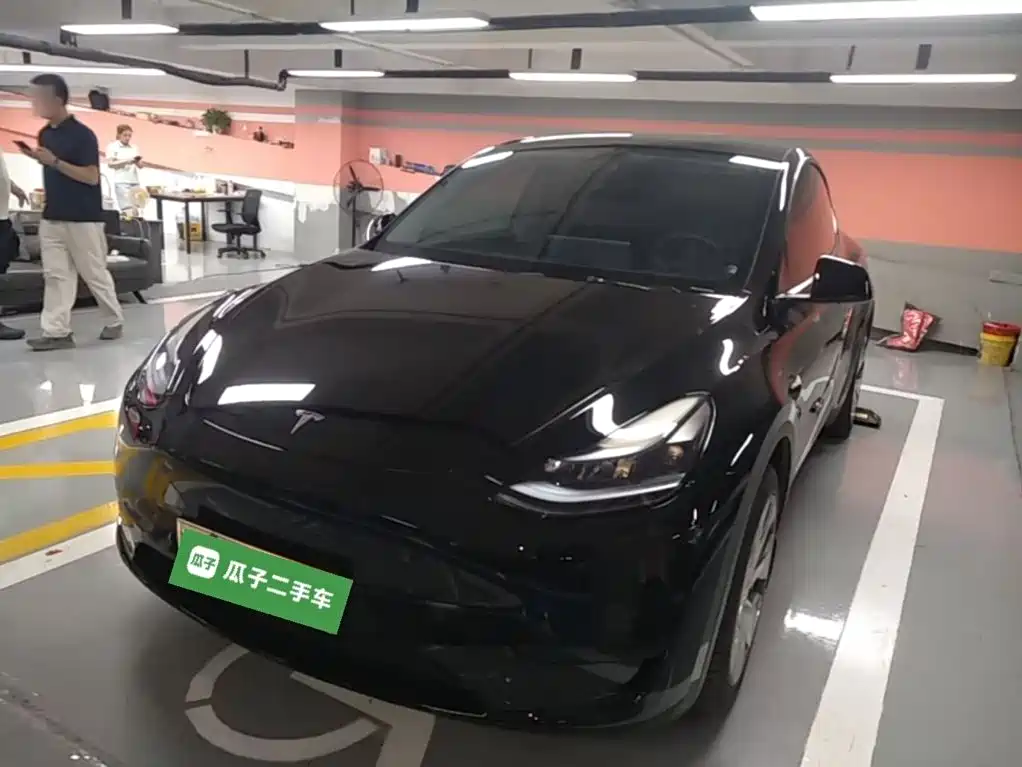 Tesla Model Y — миниатюра 2