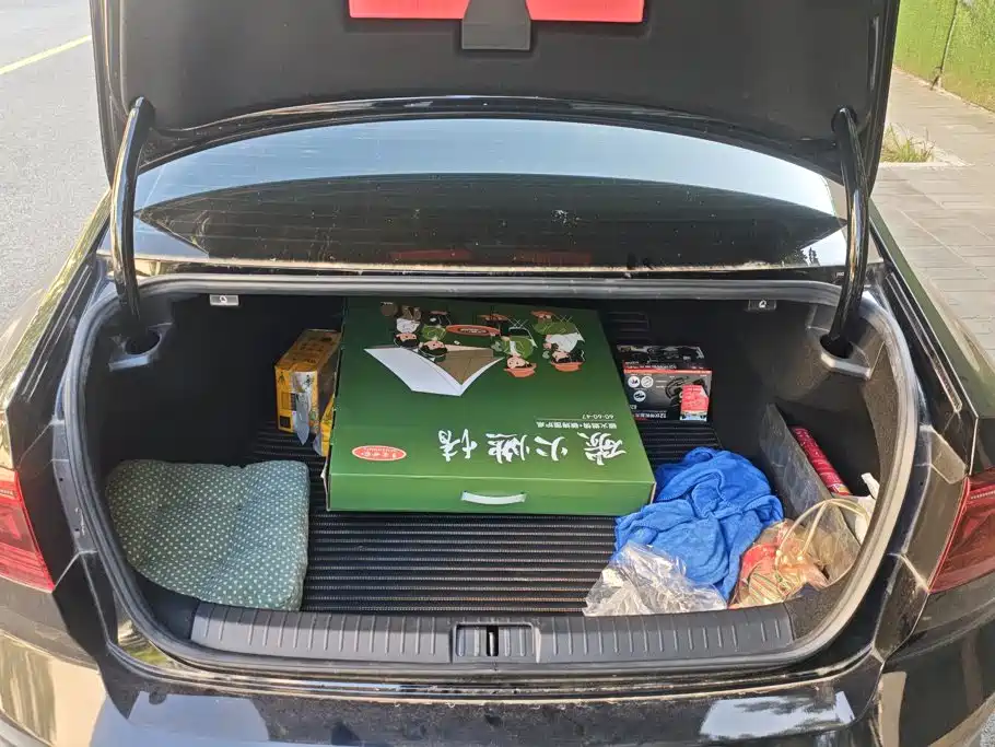 Volkswagen Magotan — миниатюра 4