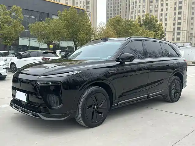 WEI PAI WEI BRAND BLUE MOUNTAIN 2025