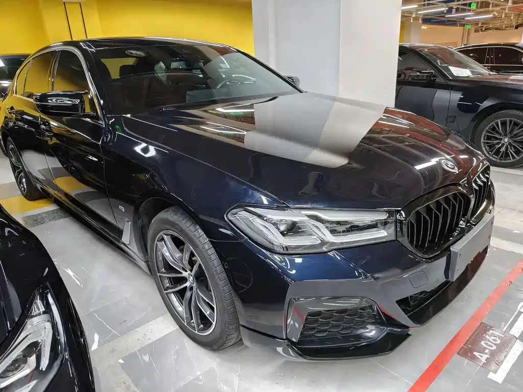 BMW 5 Series — миниатюра 3