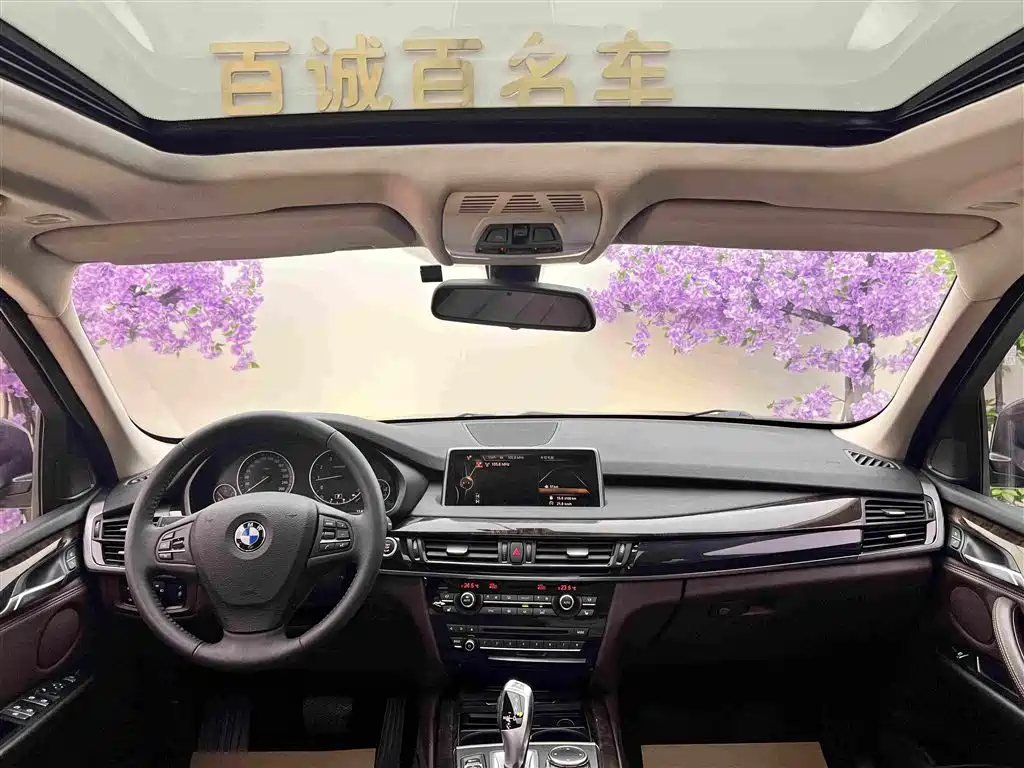BMW X5 (Import) — миниатюра 13