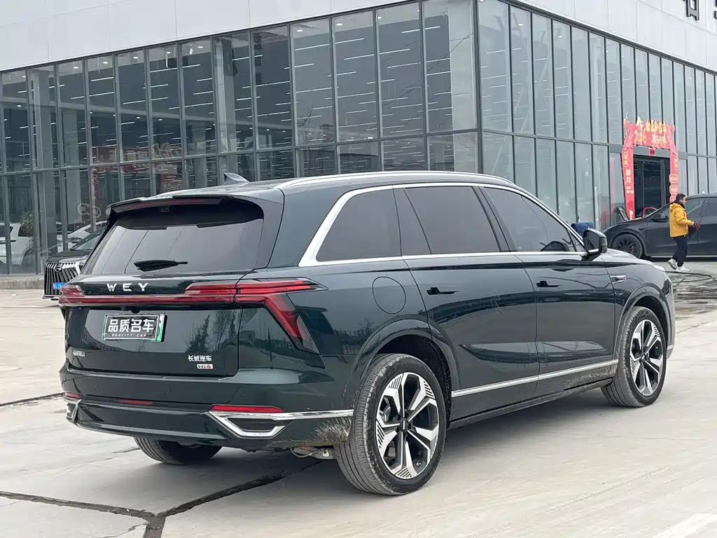 WEI PAI WEI BRAND BLUE MOUNTAIN