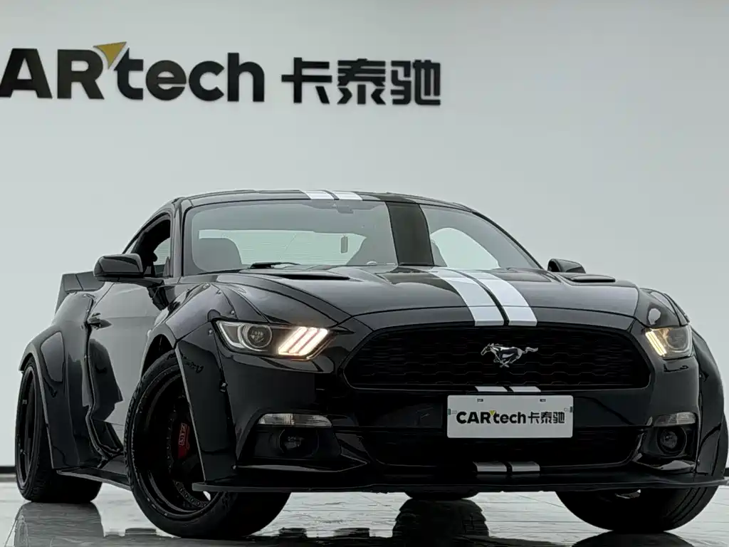 Ford Mustang — миниатюра 3