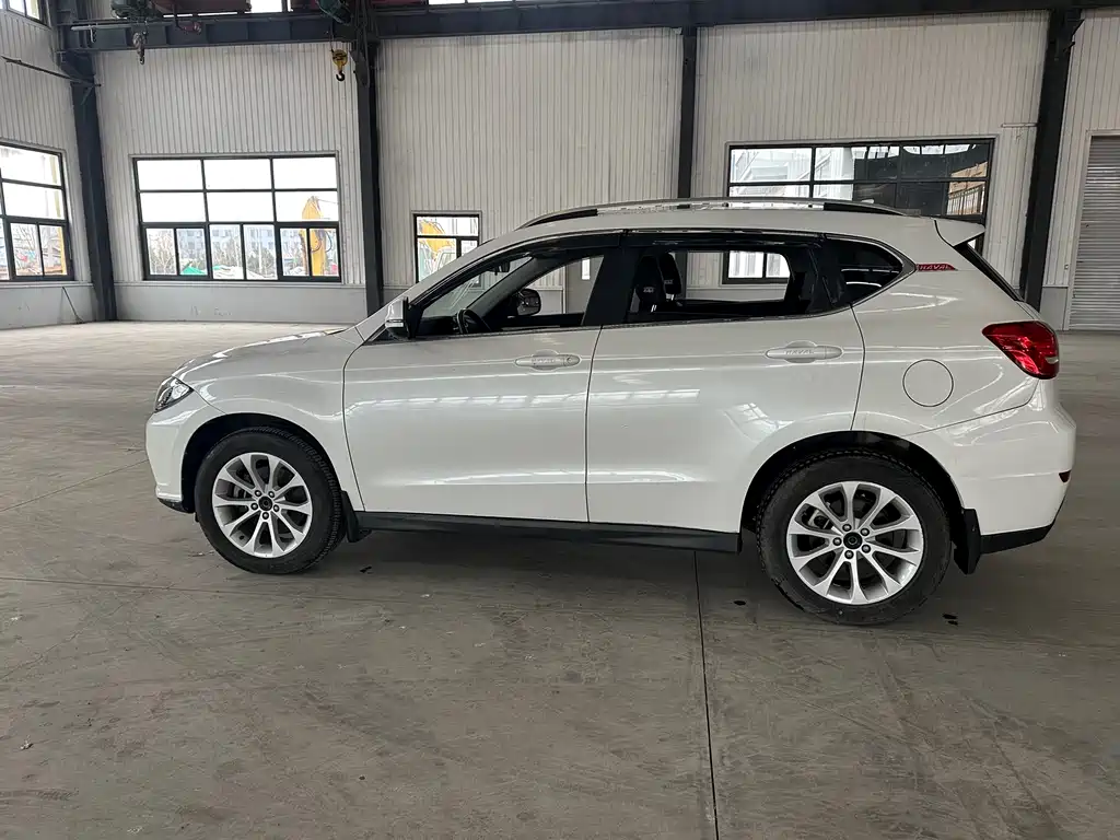 HAVAL H2