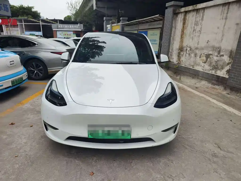 Tesla Model Y — миниатюра 2