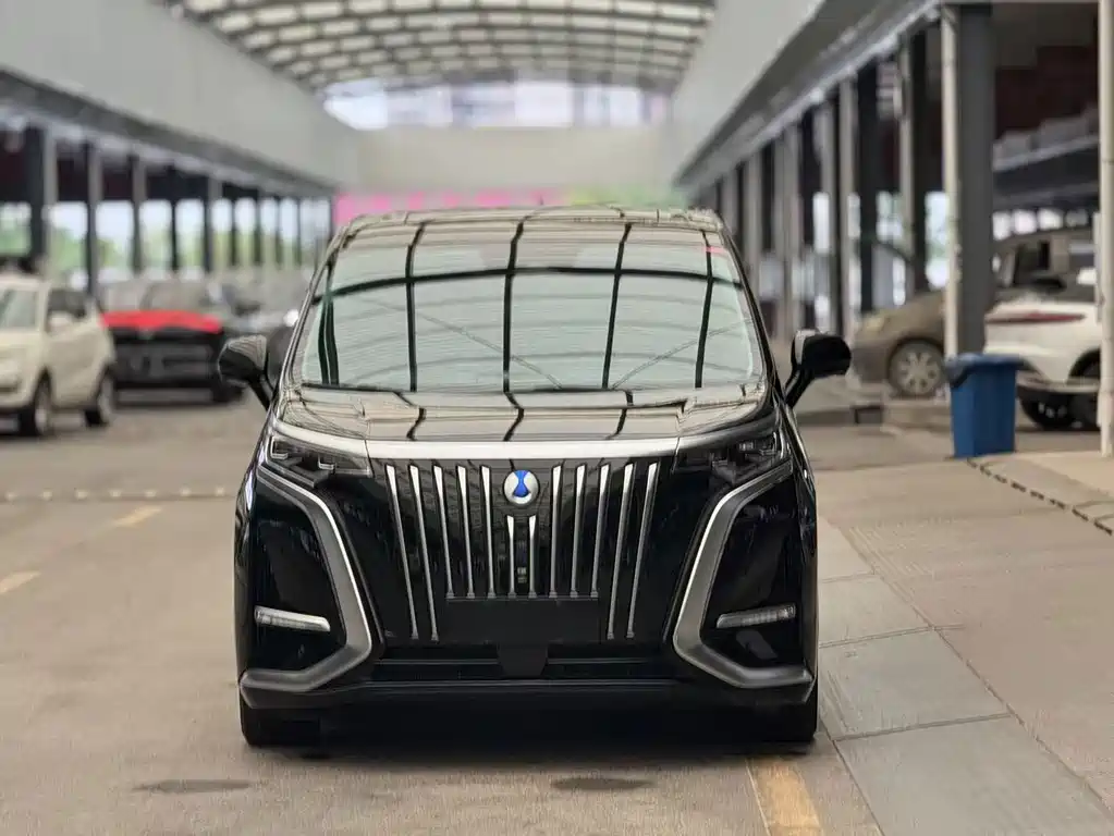 Denza Denza D9 — миниатюра 2