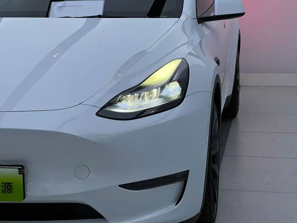 Tesla Model Y — миниатюра 3
