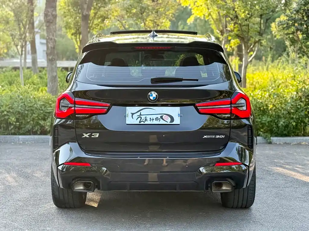 BMW X3 — миниатюра 6
