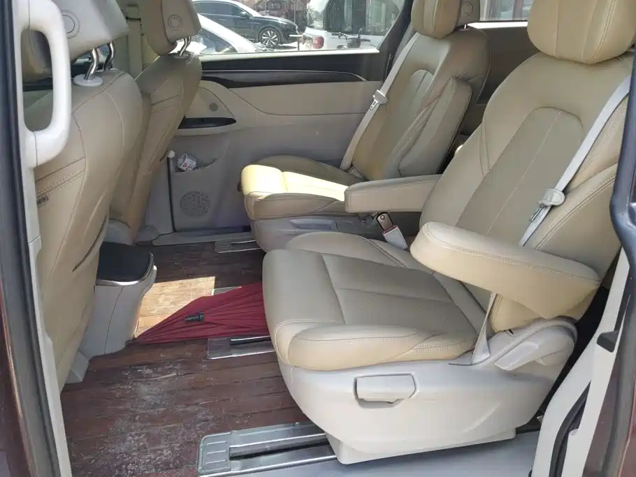 Buick GL8 — миниатюра 11