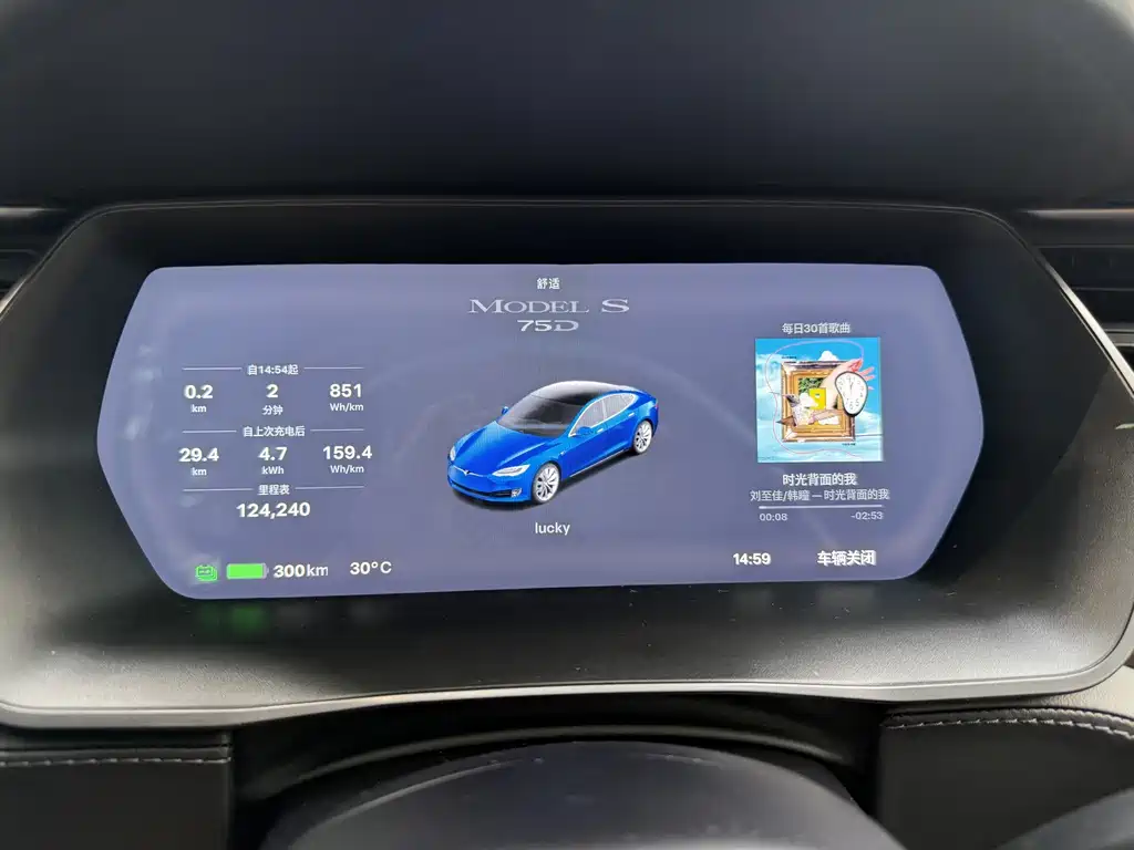 Tesla Model S — миниатюра 15