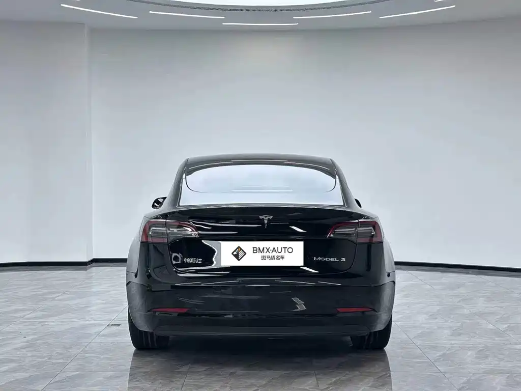 Tesla Model 3 — миниатюра 6
