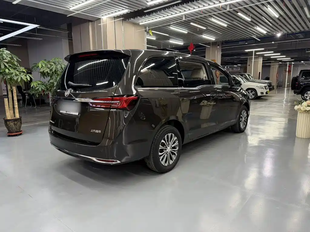 Buick GL8 — миниатюра 10