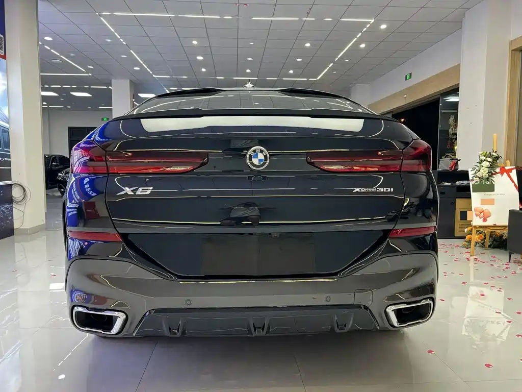 BMW X6 — миниатюра 10