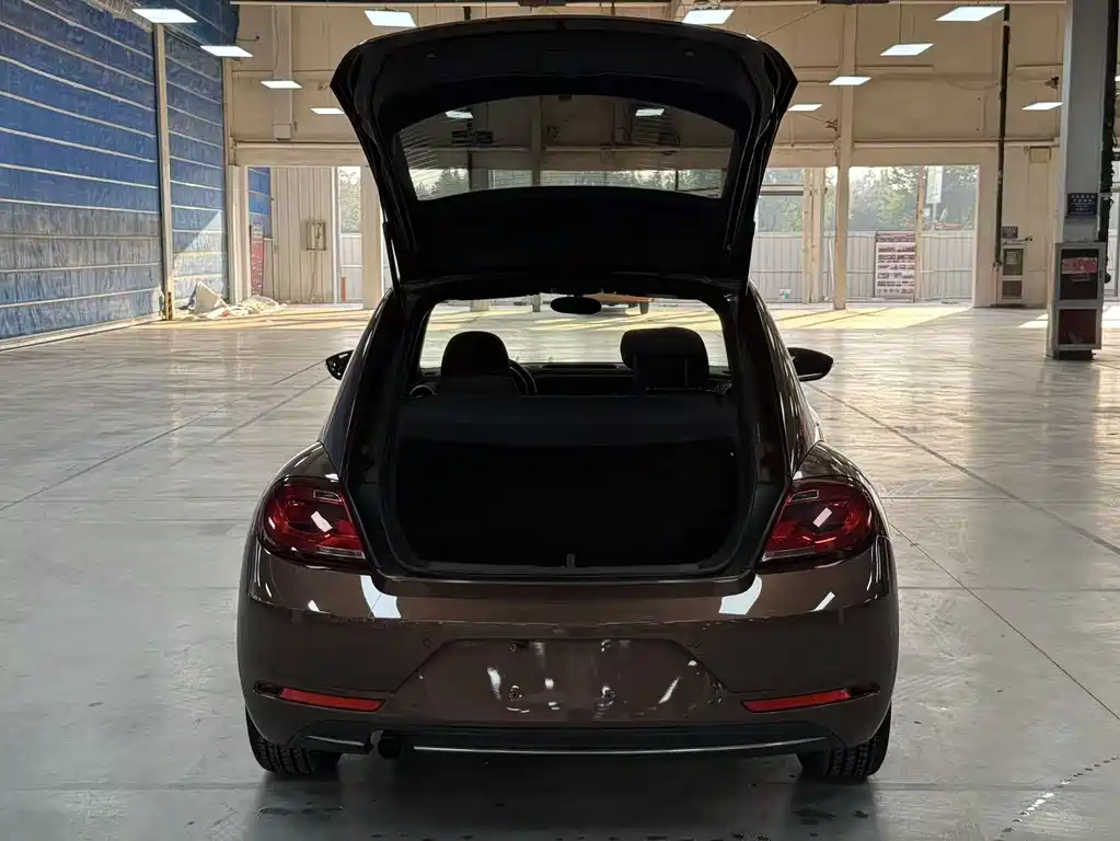 Volkswagen Beetle — миниатюра 15