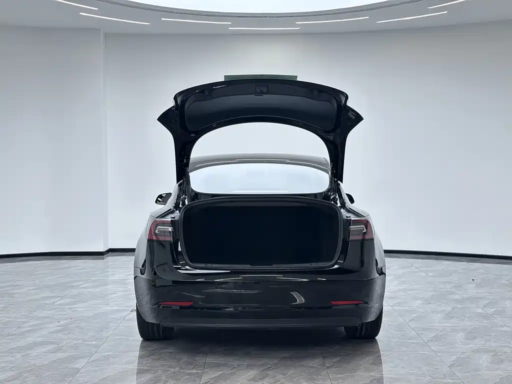 Tesla Model 3 — миниатюра 11