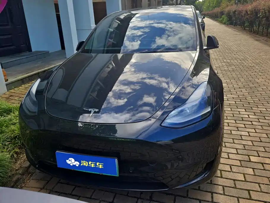Tesla Model Y — миниатюра 2