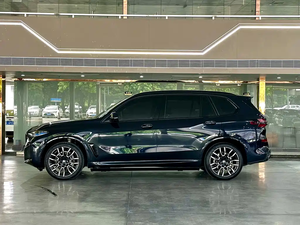 BMW X5 — миниатюра 19