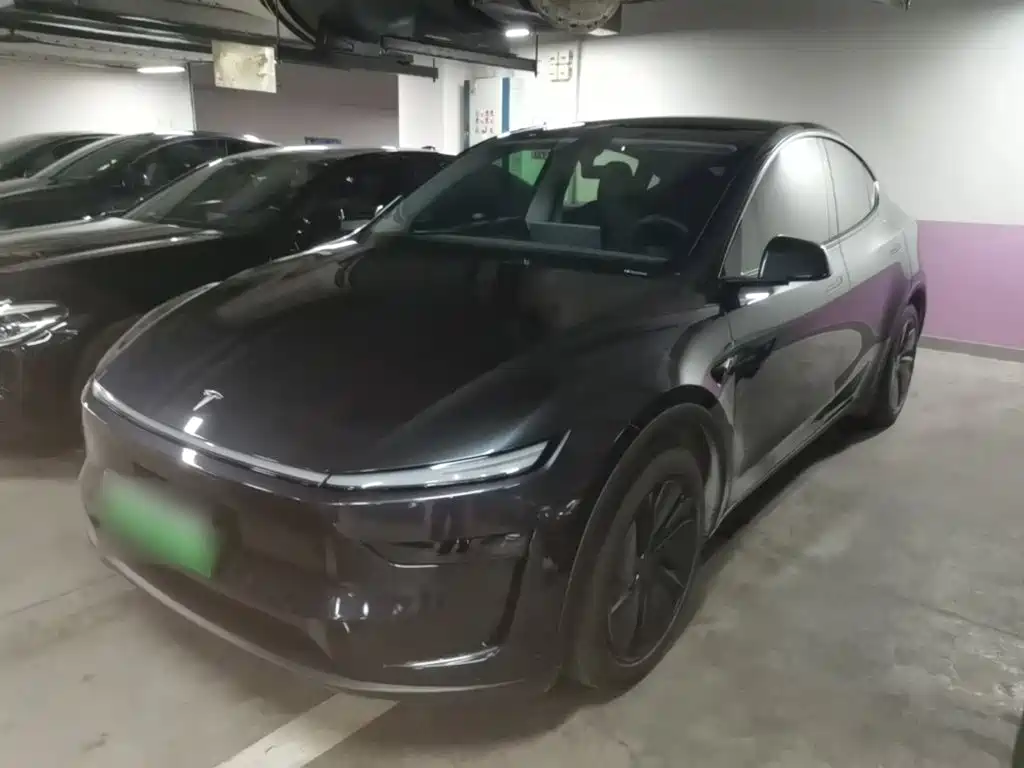 Tesla Model Y — миниатюра 2