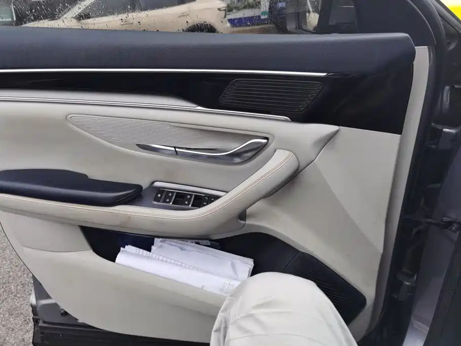 BYD PLUS New Energy — миниатюра 7