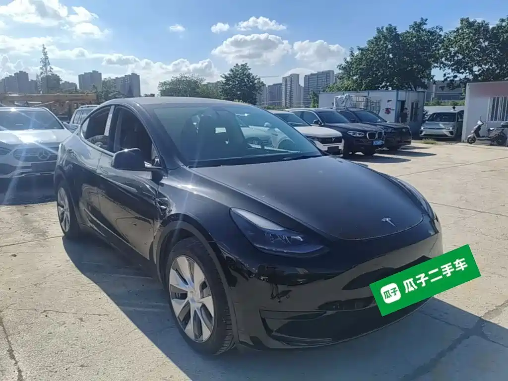 Tesla Model Y — миниатюра 4