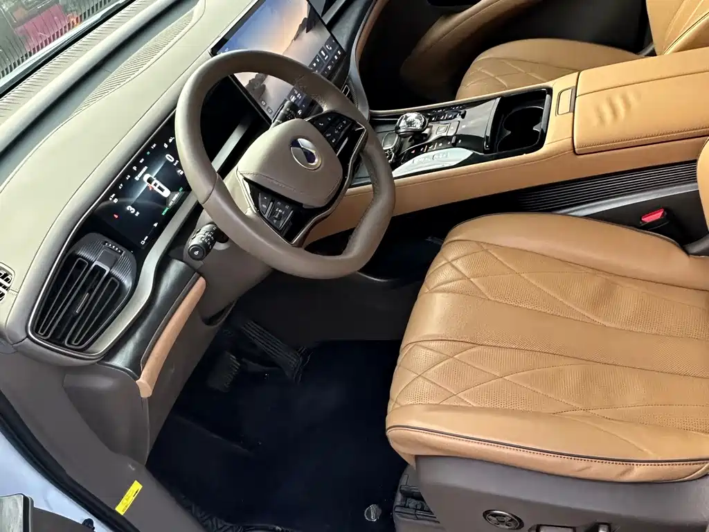 Denza Denza D9 — миниатюра 4