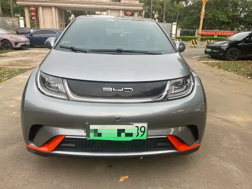 BYD Dolphin