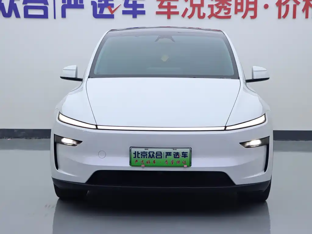 Tesla Model Y — миниатюра 3